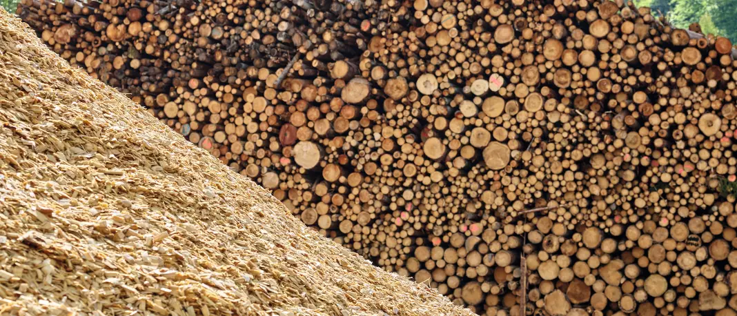 Dřevo na výrobu dřevotřískových desek se získává výhradně ze zbytkového dřeva, které nemá žádné další využití.